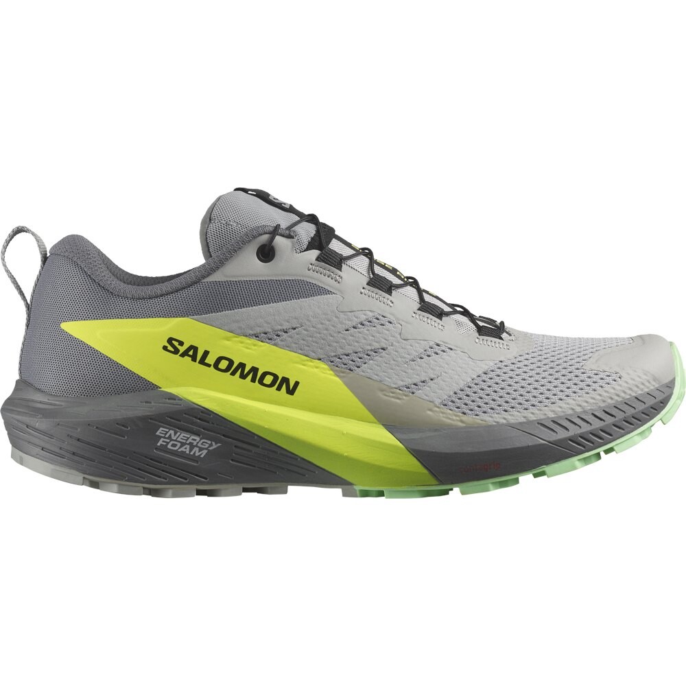 

Кроссовки Salomon Sense Ride 5 Trail, серый
