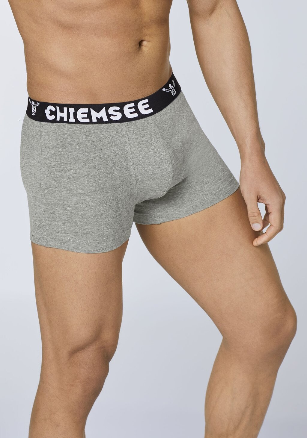 

Трусы 3Er Pack Chiemsee, нейтральные. серый