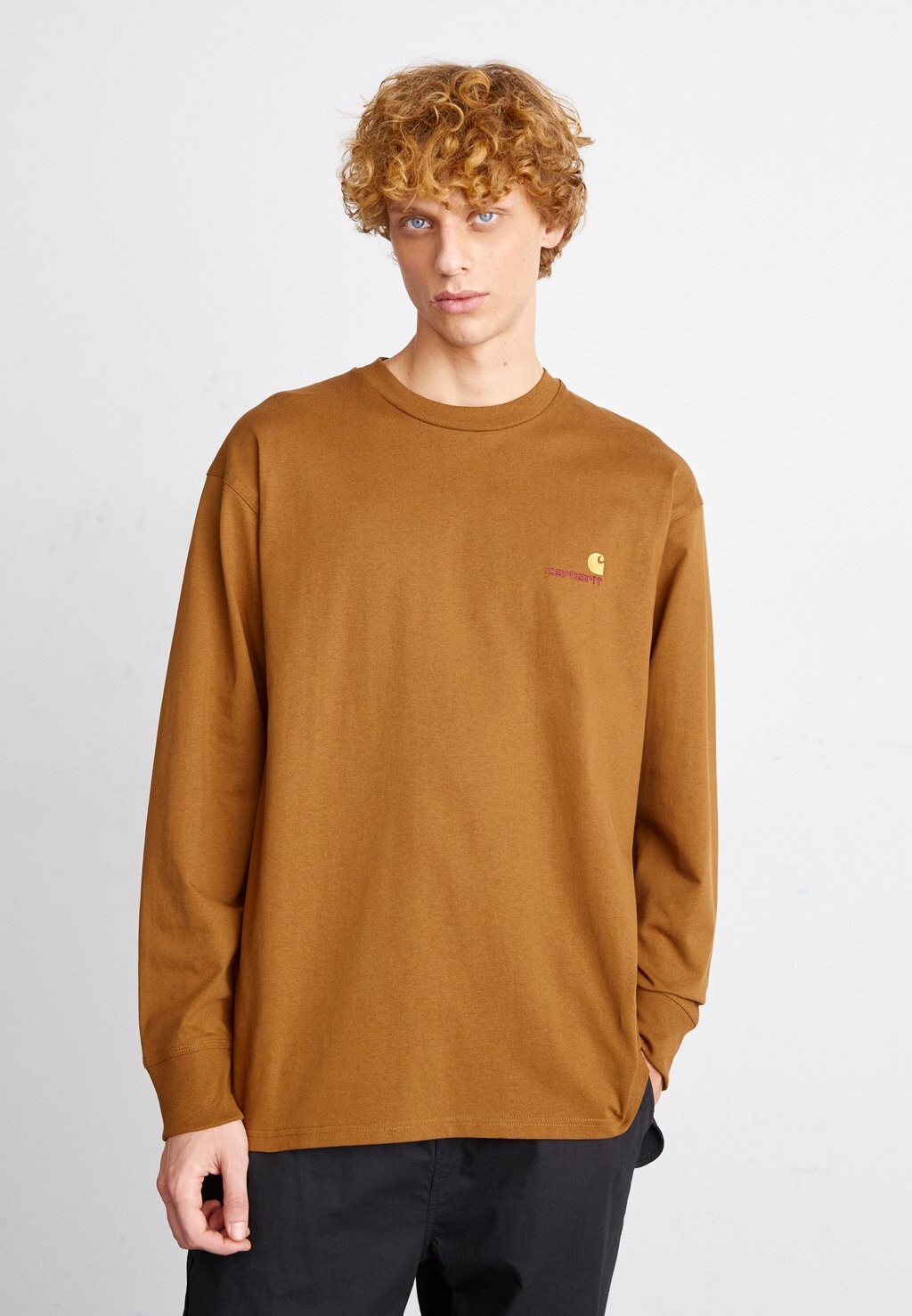 

Футболка с длинными рукавами American Script Carhartt WIP, цвет hamilton brown