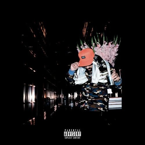 

Виниловая пластинка Sonnyjim - No Visible Means of Income 2
