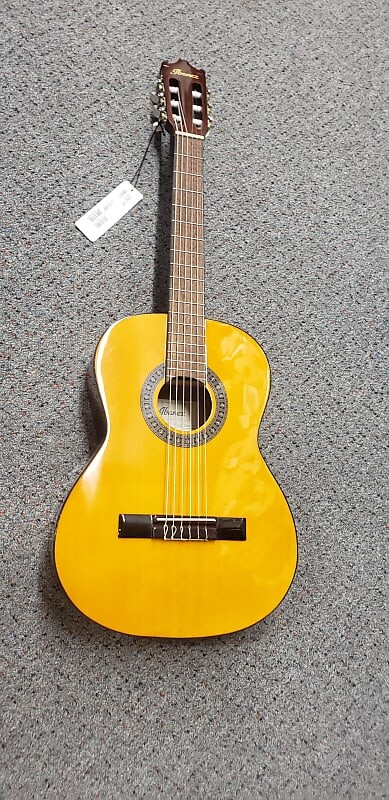 

Акустическая гитара Ibanez GA2-AM - Natural
