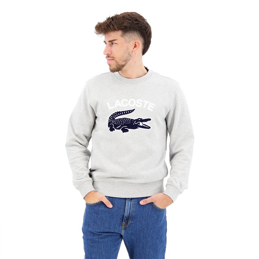 

Толстовка Lacoste SH9689-00, серый
