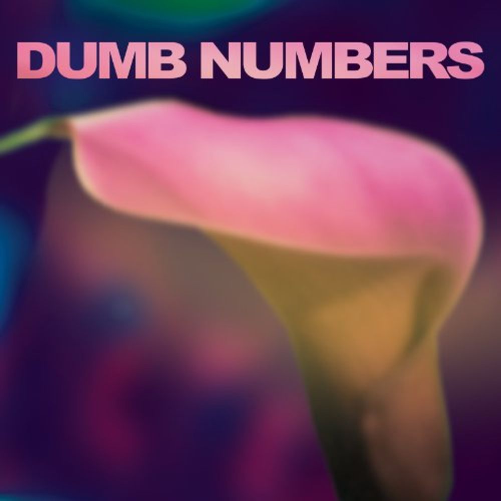 

Виниловая пластинка LP Dumb Numbers - Dumb Numbers