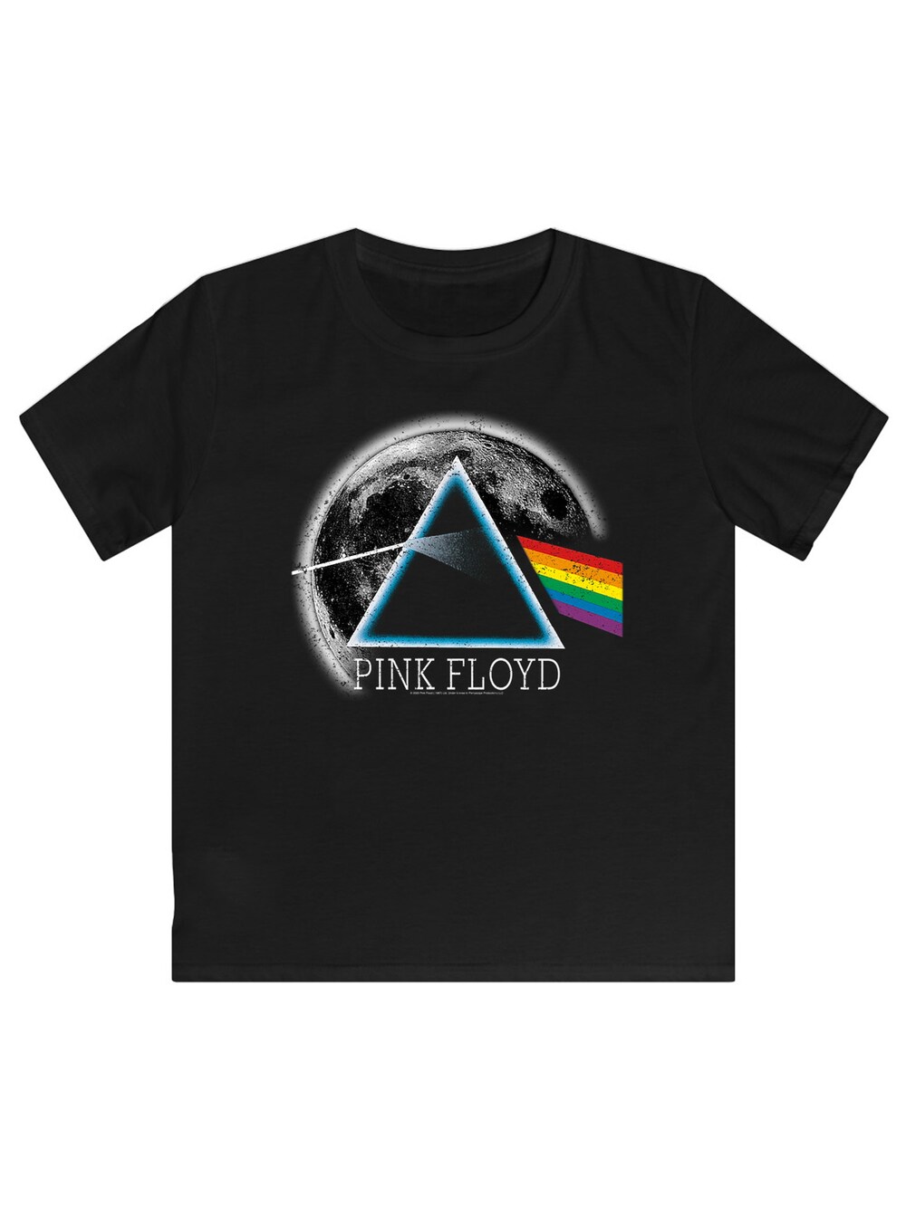 Футболка F4Nt4Stic Pink Floyd Dark Side of The Moon, черный