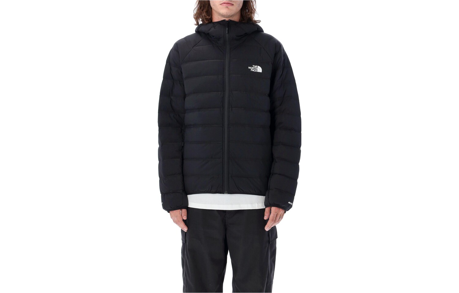 

THE NORTH FACE Мужская куртка, цвет Black