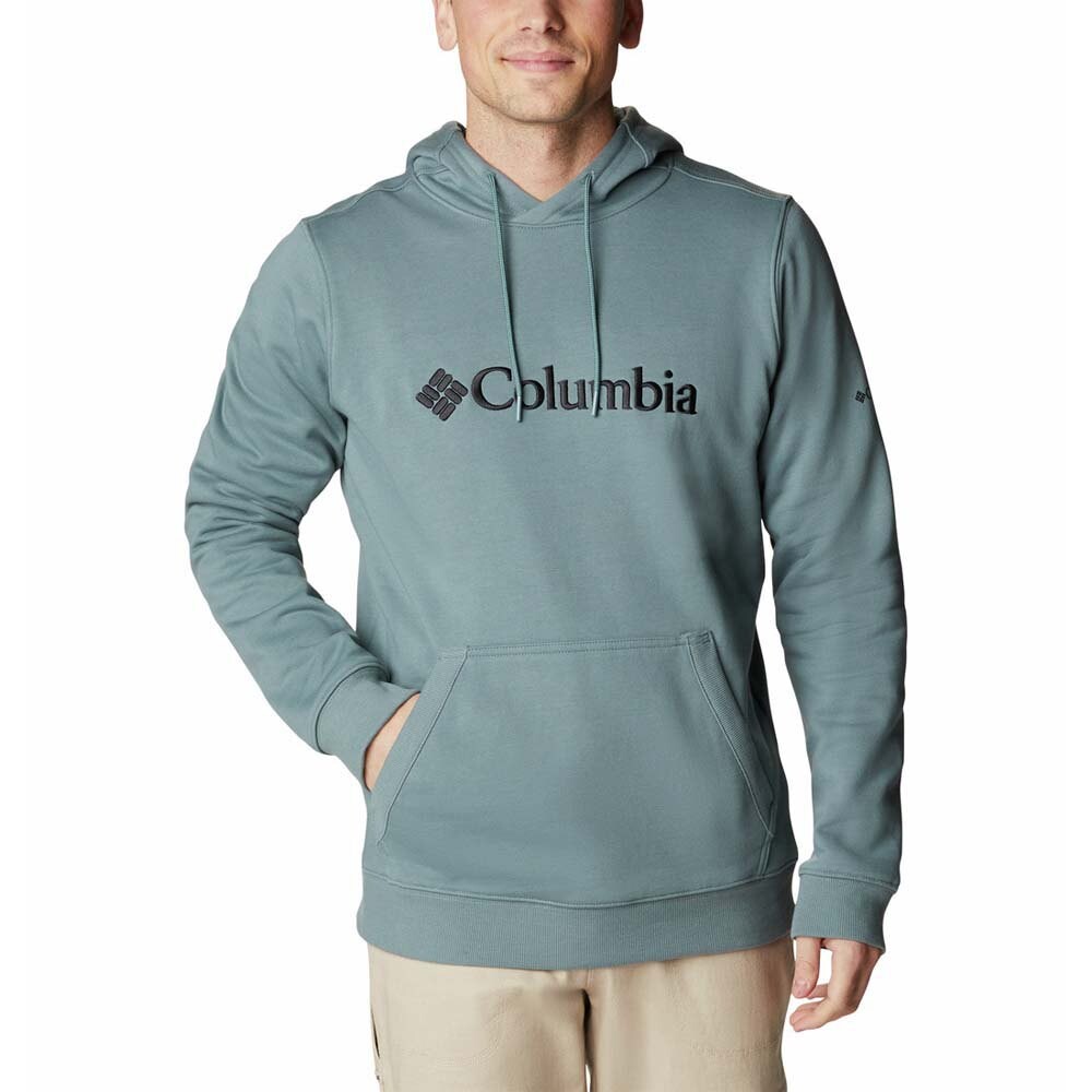 

Худи Columbia CSC Basic Logo, зеленый