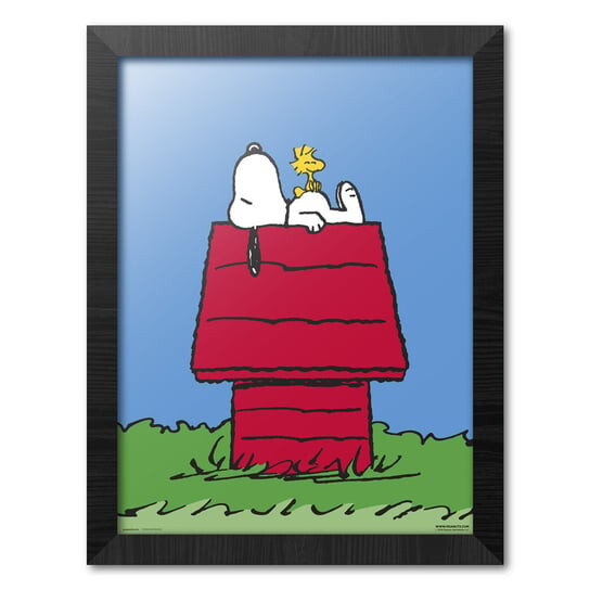 

Картина В Рамке 30X40 См Snoopy Home Inna marka
