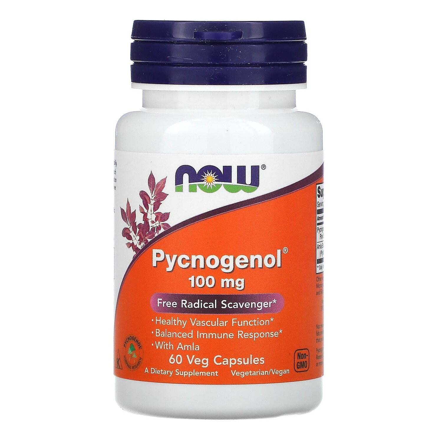 

Pycnogenol, 100 мг, 60 растительных капсул, NOW Foods