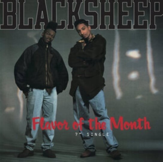 

Виниловая пластинка Black Sheep - Flavor of the Month