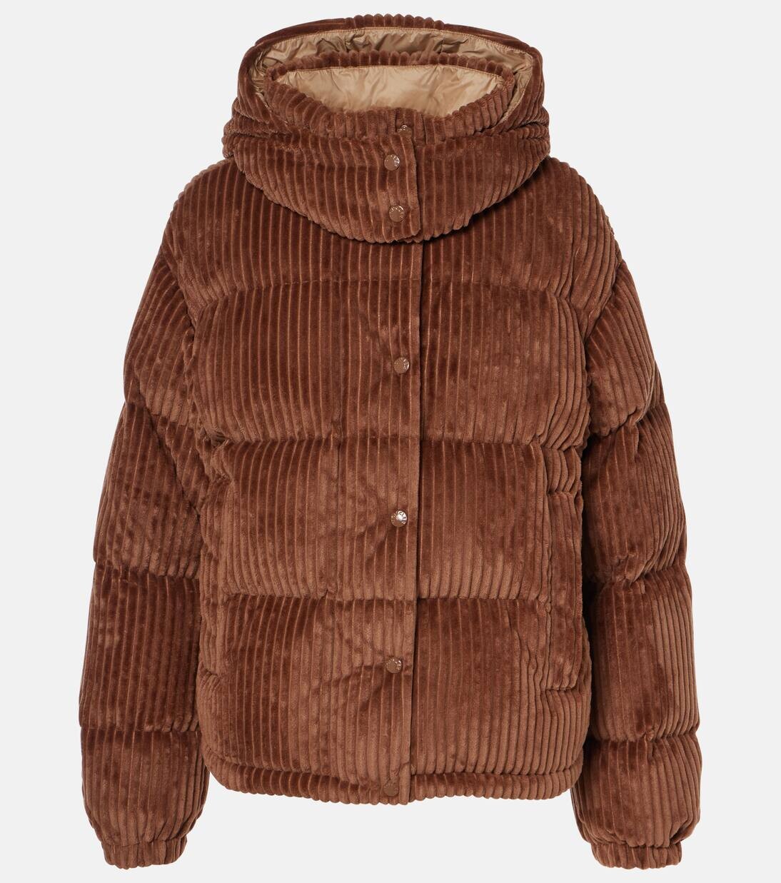 

Пуховик Daos из вельвета Moncler, коричневый