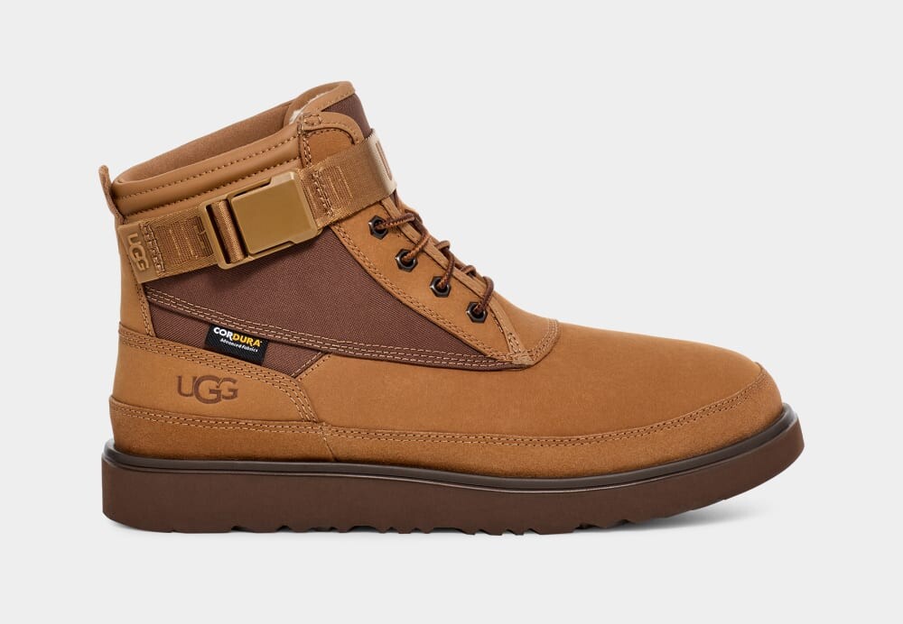 

Ботинки Highland Utility Strap Weather UGG, коричневый