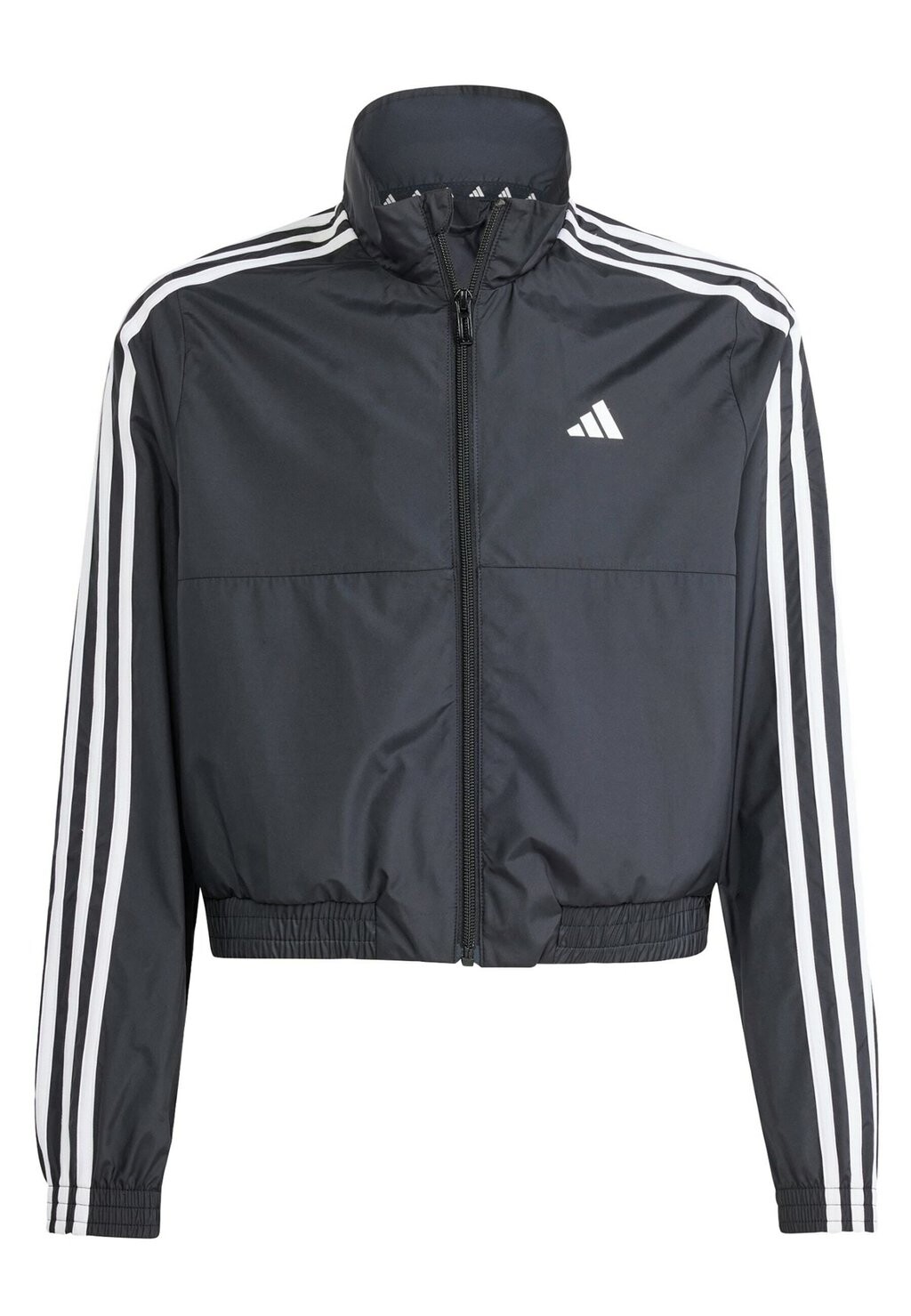 

Спортивная куртка Train Essentials Full-Zip adidas Sportswear, цвет black white