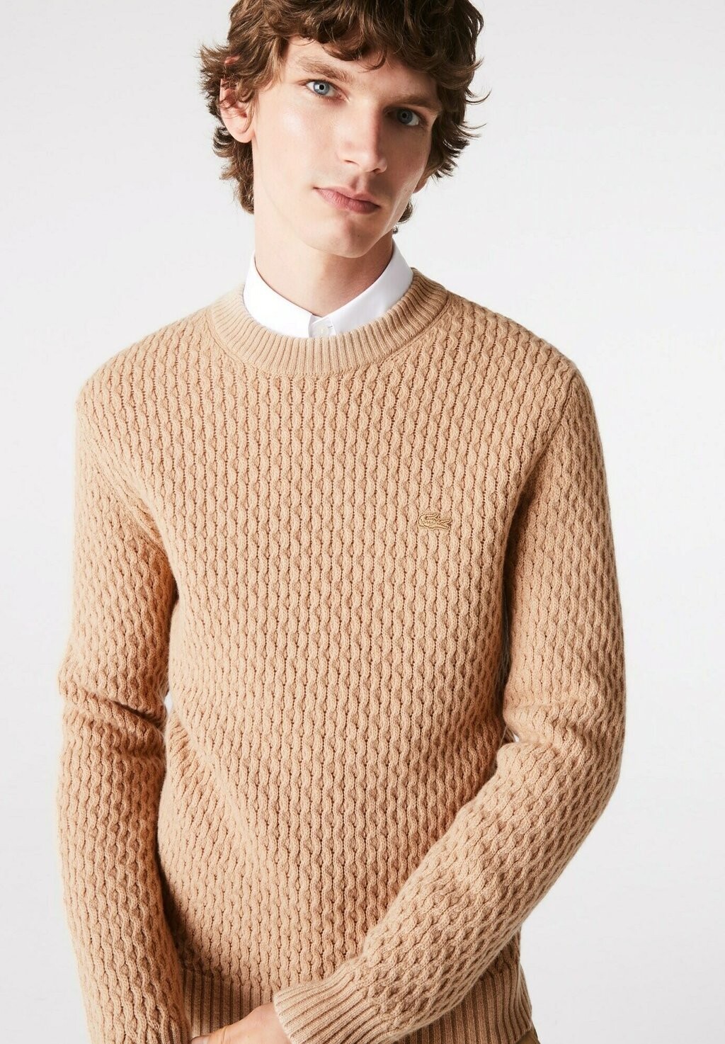 

Свитер Lacoste