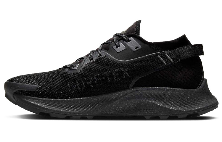 

Nike Pegasus Trail 2 GORE-TEX Черный