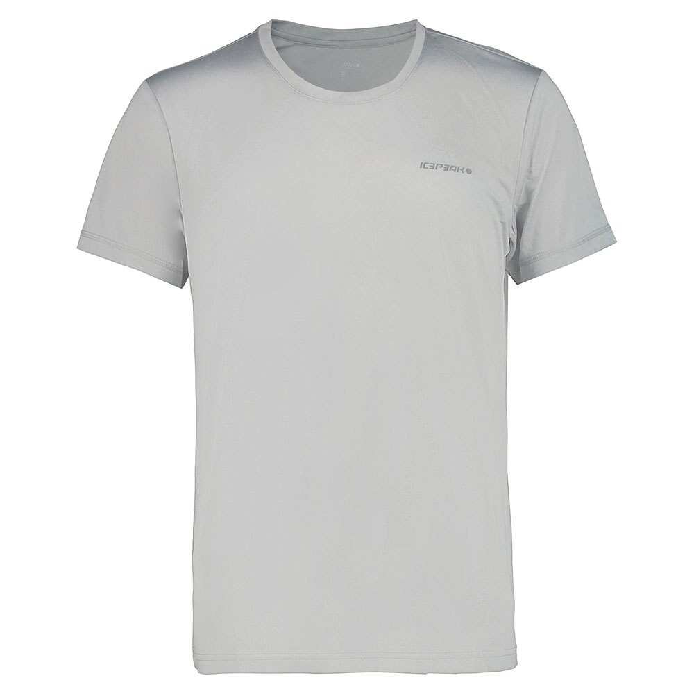 

Футболка Icepeak Bogen I, серый