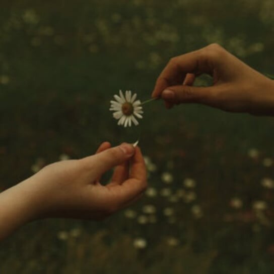 

Виниловая пластинка Goldmund - The Time It Takes