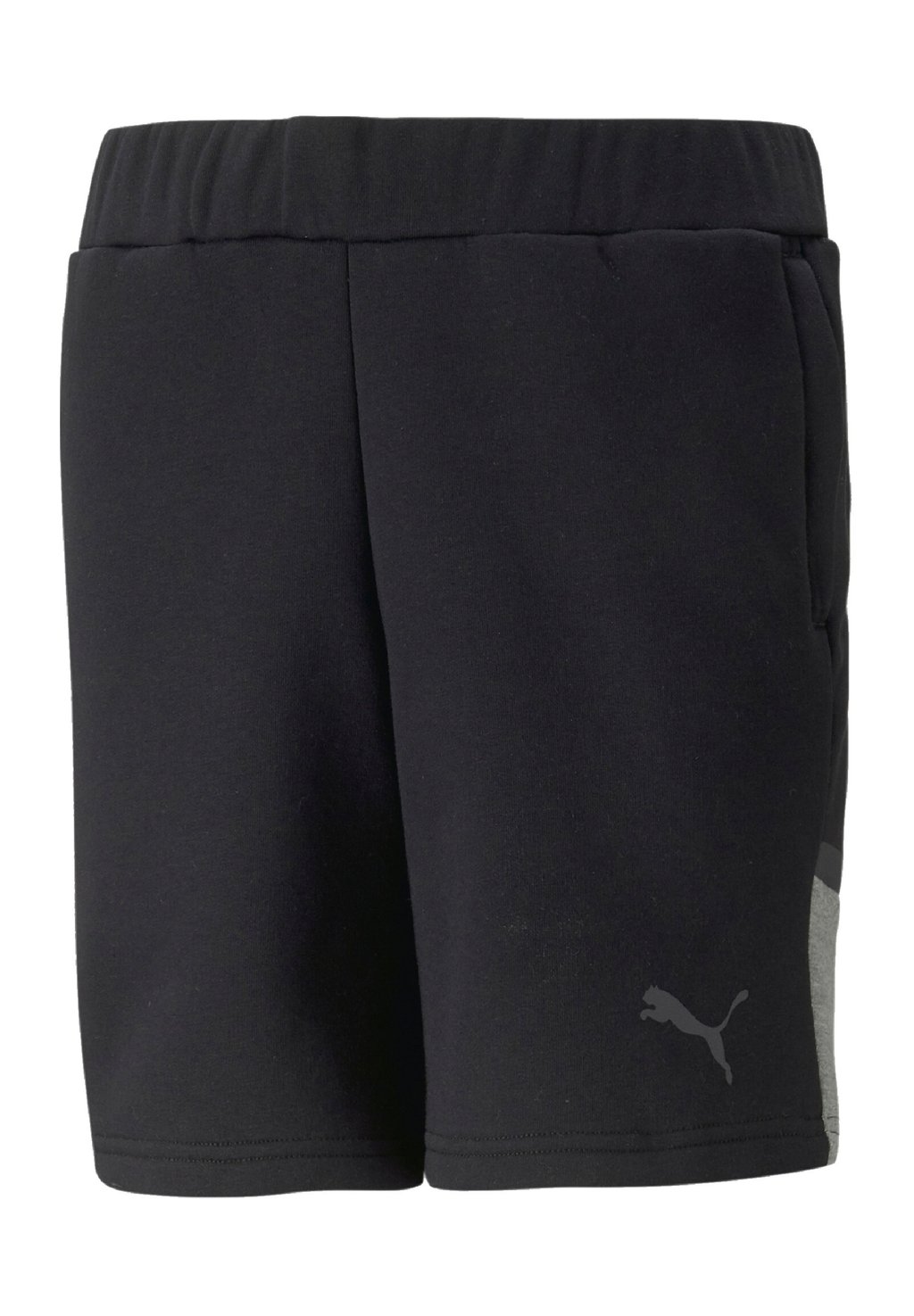 Спортивные брюки TEAMCUP CASUALS Puma, цвет schwarz