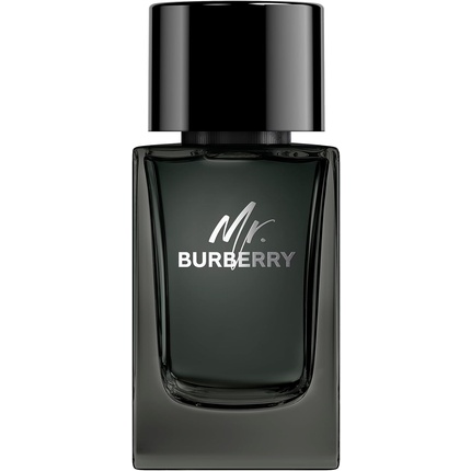 Mr Burberry Eau de Parfum Vapo 100мл