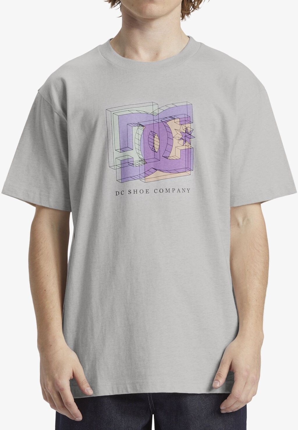 

Футболка с принтом FINE ART DC Shoes, цвет scvw snow heather