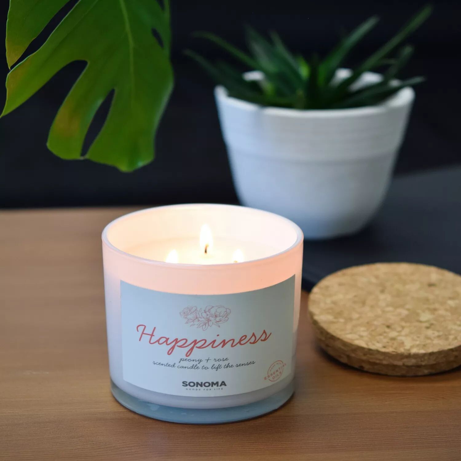 

Sonoma Goods For Life Spa Happiness Баночка для свечи с 3 фитилями