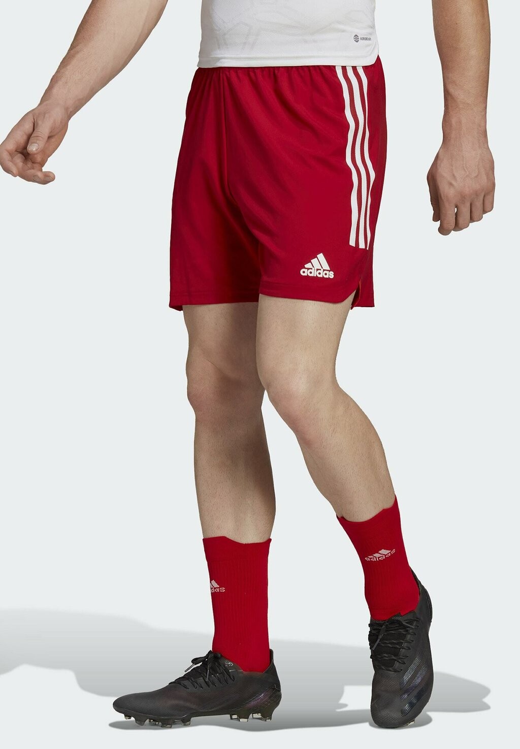 

Спортивные шорты Adidas