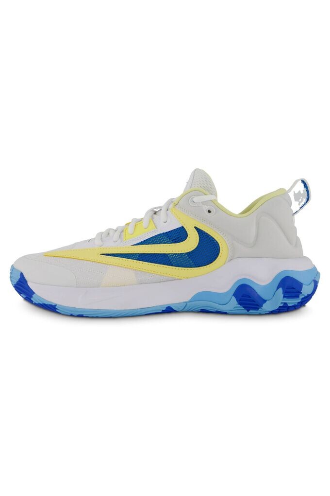 

Баскетбольные кроссовки Giannis Immortality 3 Nike, мультиколор