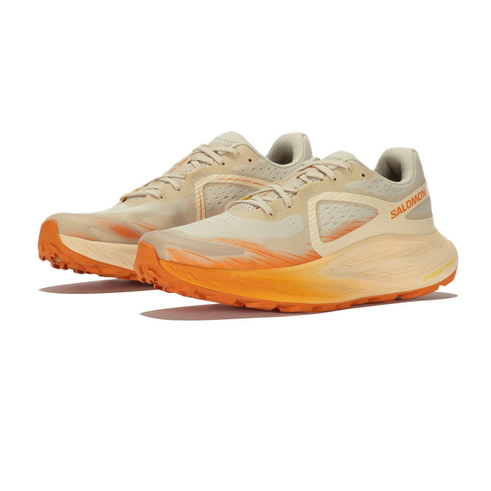 

Кроссовки для бега Salomon Glide Max TR Trail, песочный