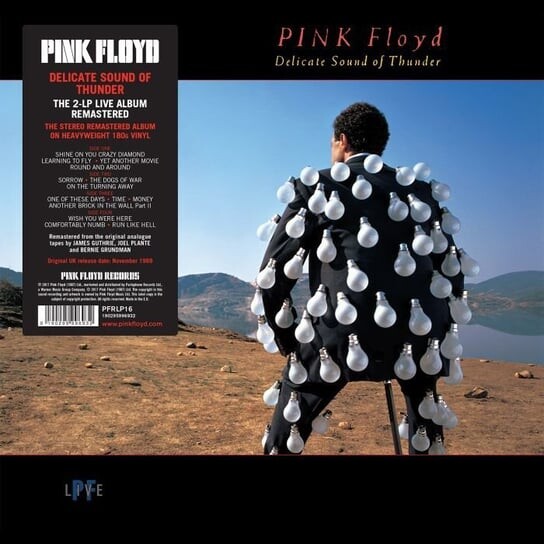 

Виниловая пластинка Pink Floyd - Delicate Sound Of Thunder