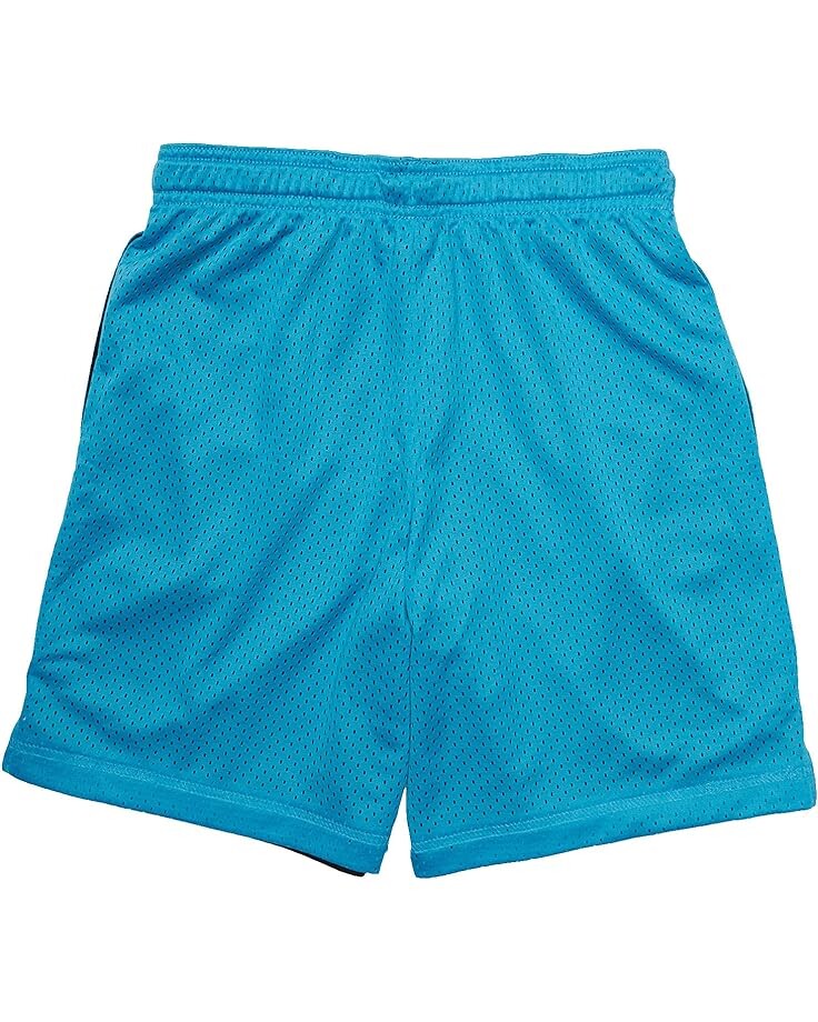 

Шорты Nike Tune Squad DNA Shorts, цвет Light Blue Fury/Black