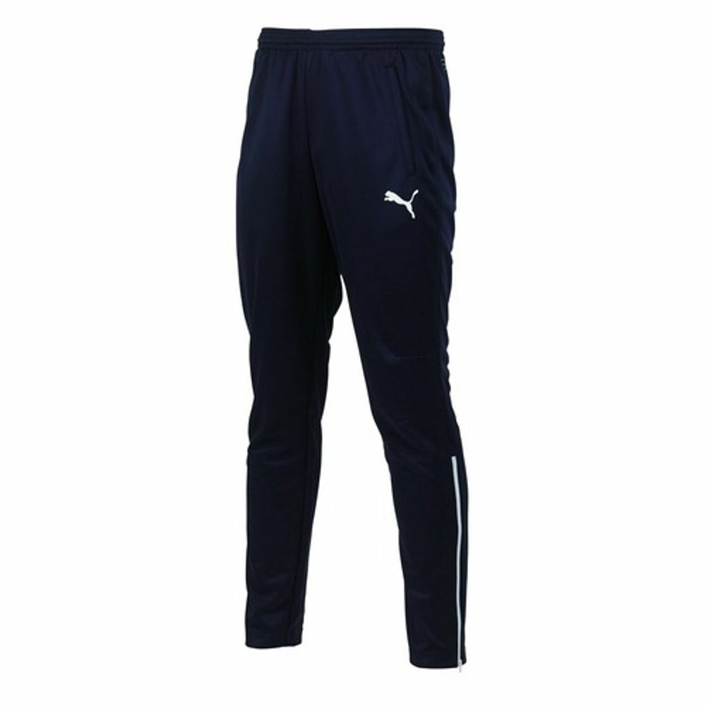 

Спортивные брюки Puma Training Entry, синий