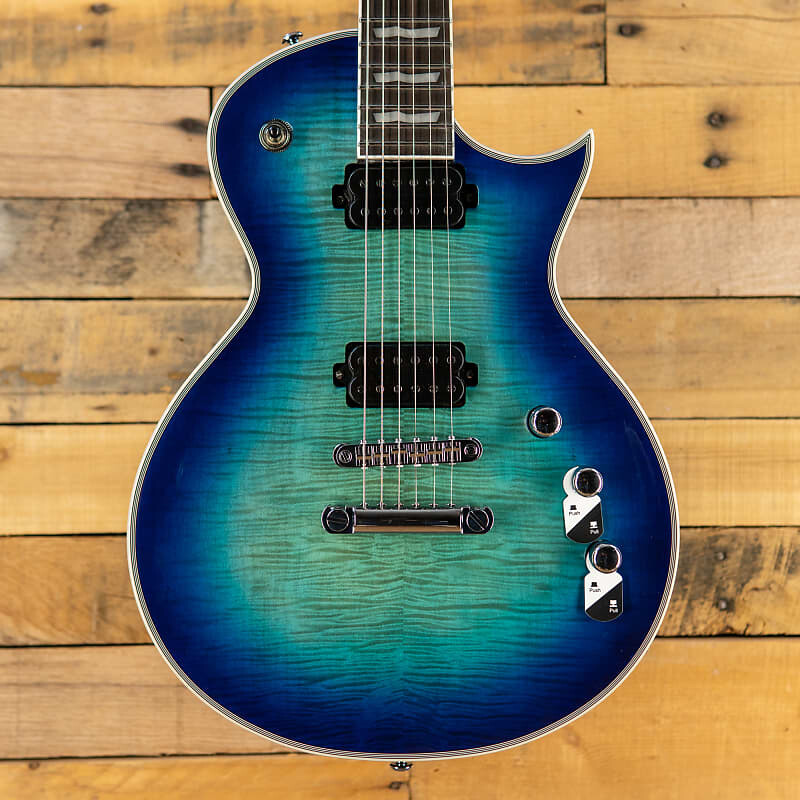 

Электрогитара ESP LTD EC-1000T CTM Electric Guitar - Violet Shadow - 8lbs 15oz!