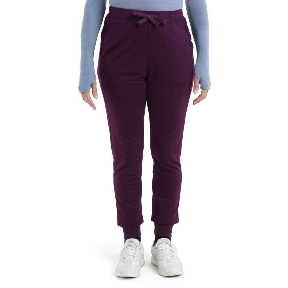 

Спортивные брюки Icebreaker Crush II Merino, фиолетовый