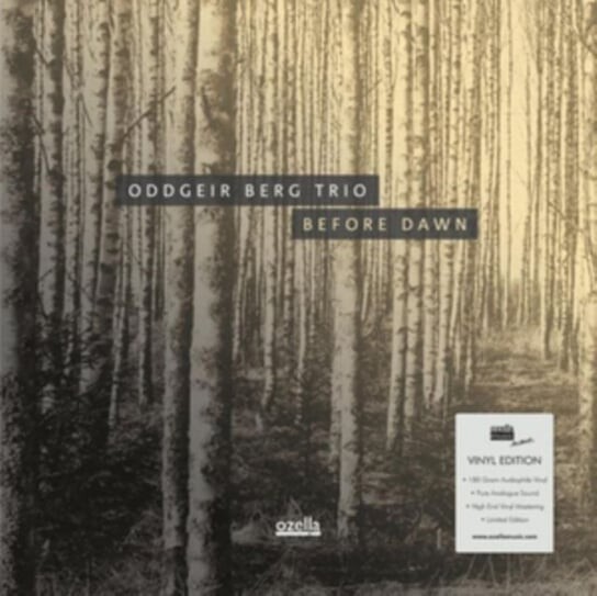 

Виниловая пластинка Oddgeir Berg Trio - Before Dawn