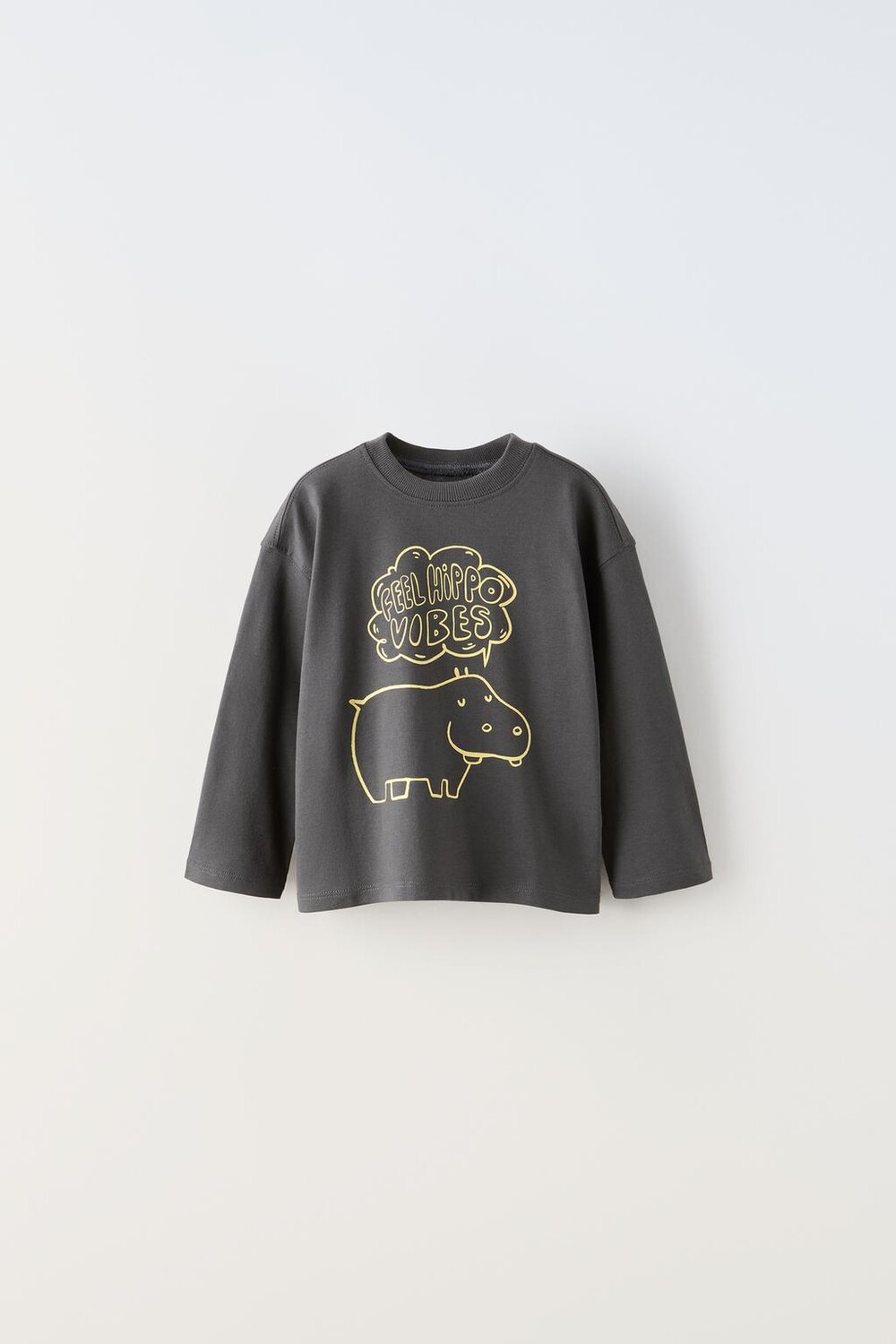 

Футболка с принтом ZARA, антрацитовый серый