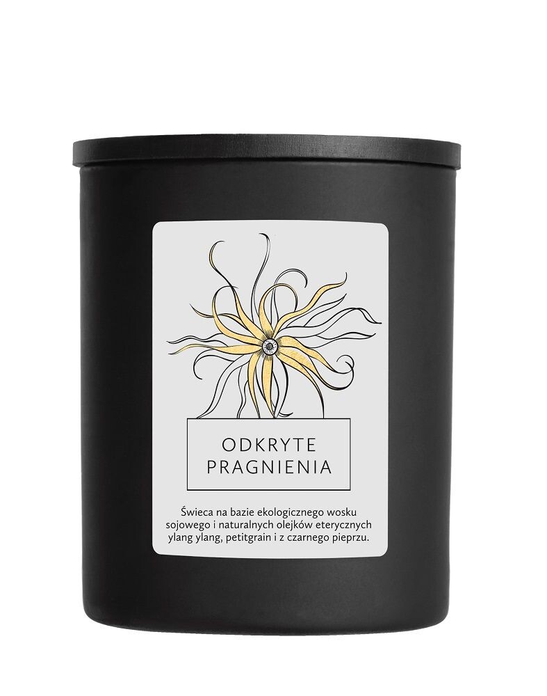 

Ароматическая Свеча Hagi Odkryte Pragnienia, 230 g