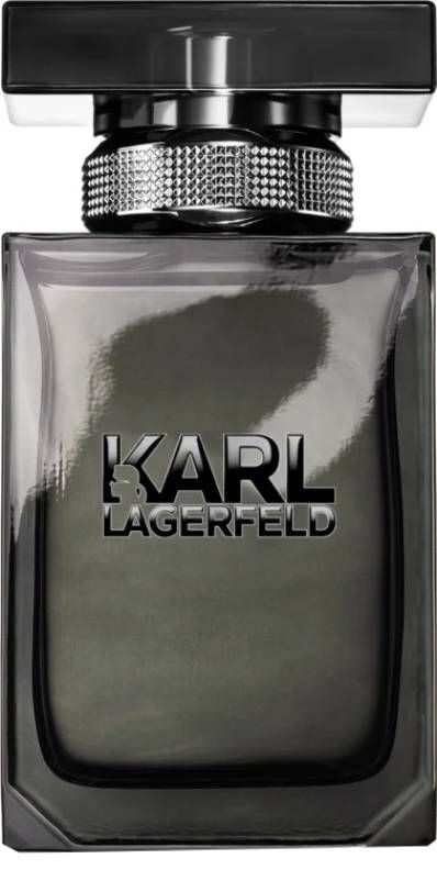 

Karl Lagerfeld Pour Homme туалетная вода для мужчин, 50 ml