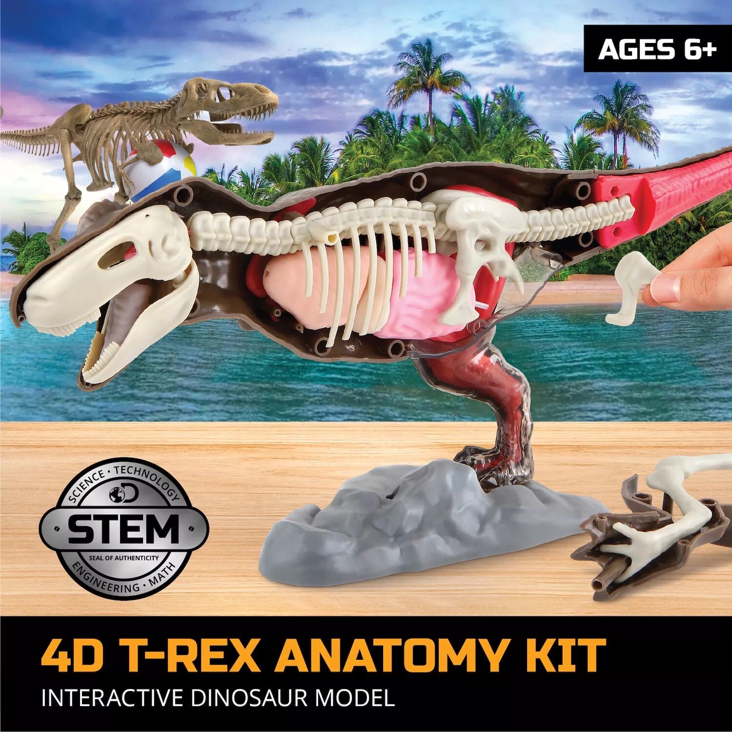 

Набор Discovery Mindblown Toy Anatomy T-Rex Discovery Mindblown