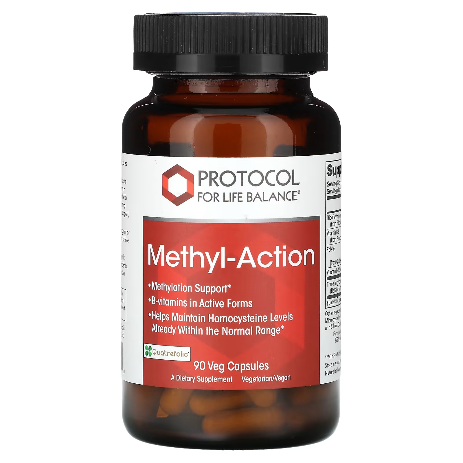 Протокол для Life Balance Mmethyl-Action 90 растительных капсул Protocol for Life Balance