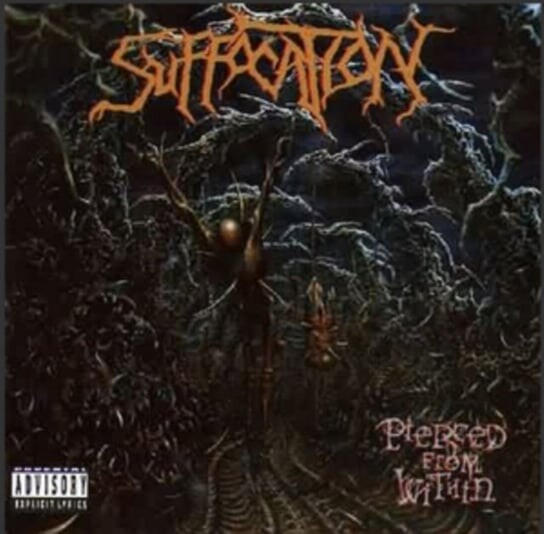 

Виниловая пластинка Suffocation - Pierced From Within