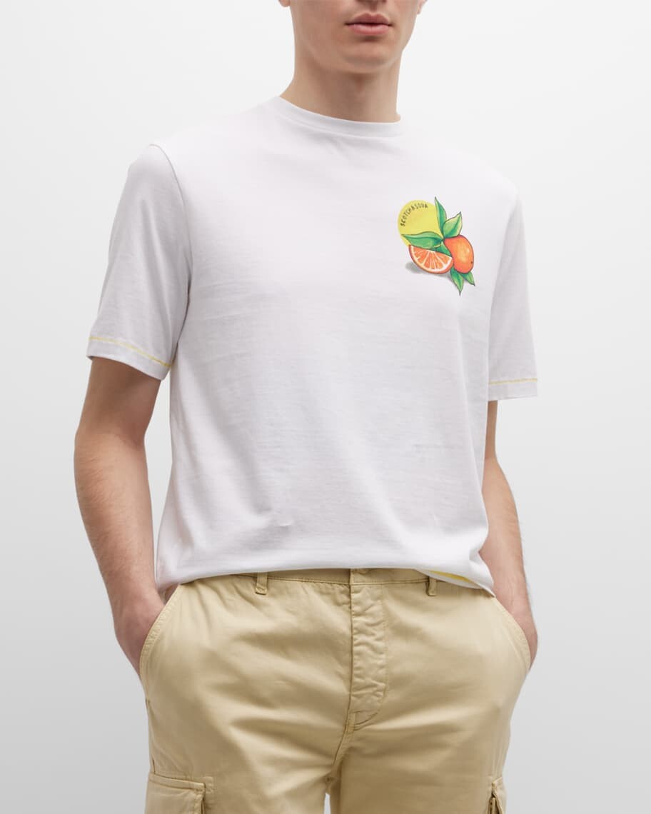 

Мужская футболка с изображением пикника Scotch & Soda