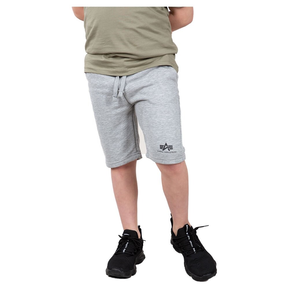 

Шорты Alpha Industries Basic SL, серый