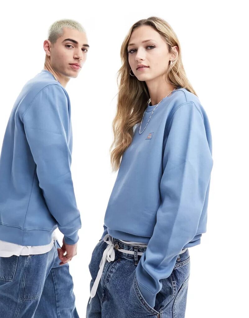 

Голубой свитшот Dickies Oakport