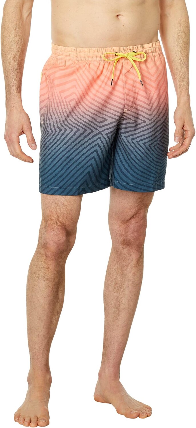 

Повседневный изогнутый логотип Volley 17 дюймов Quiksilver, цвет Midnight Navy