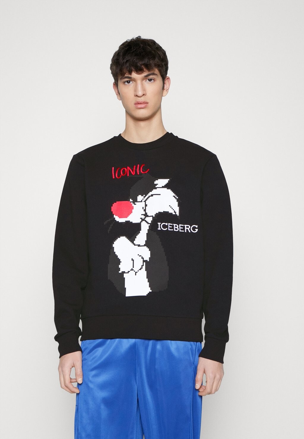 

Толстовка Iceberg