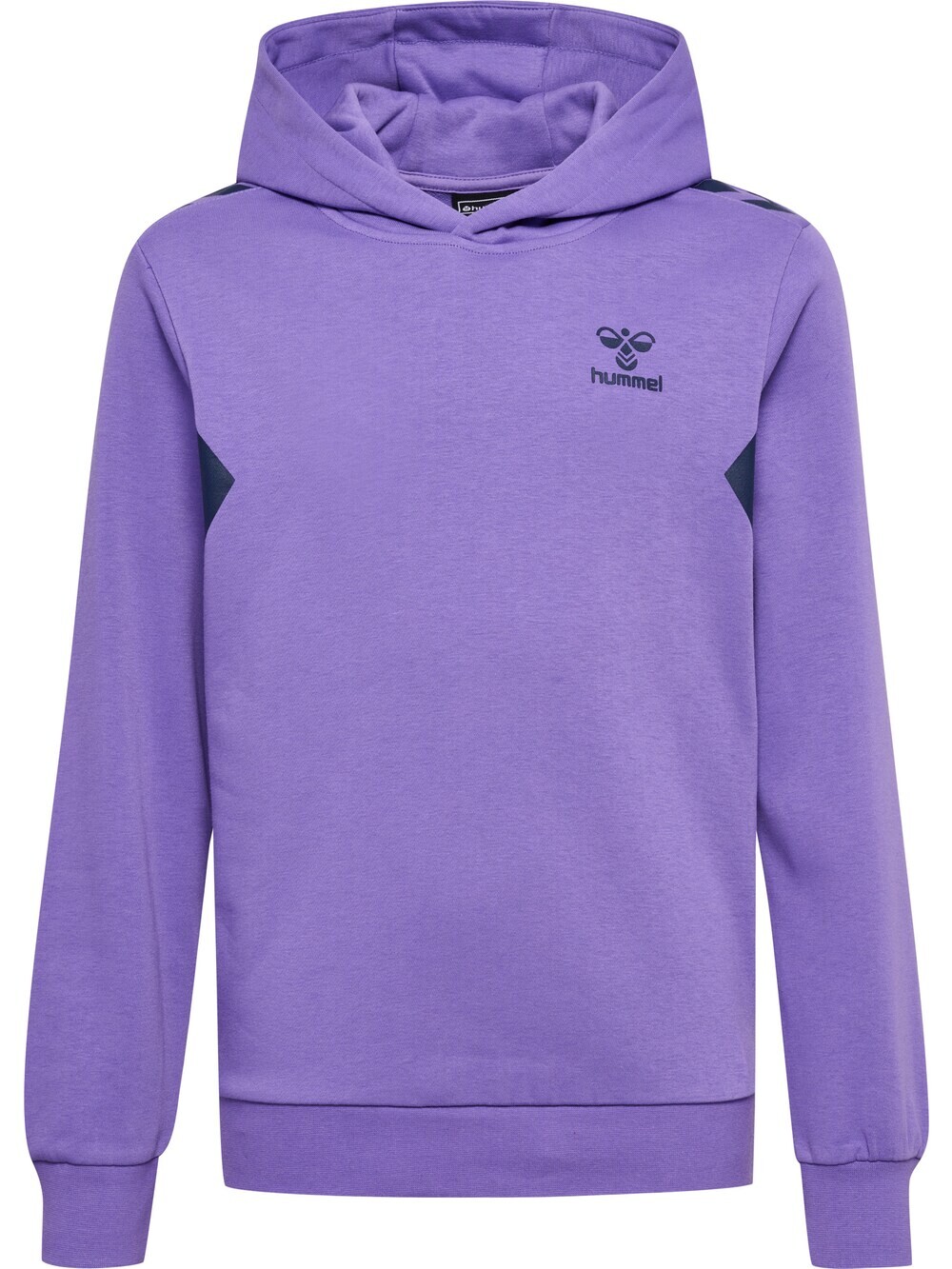 

Спортивная толстовка Hummel Staltic, фиолетовый