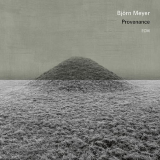 Виниловая пластинка Meyer Bjorn - Provenance