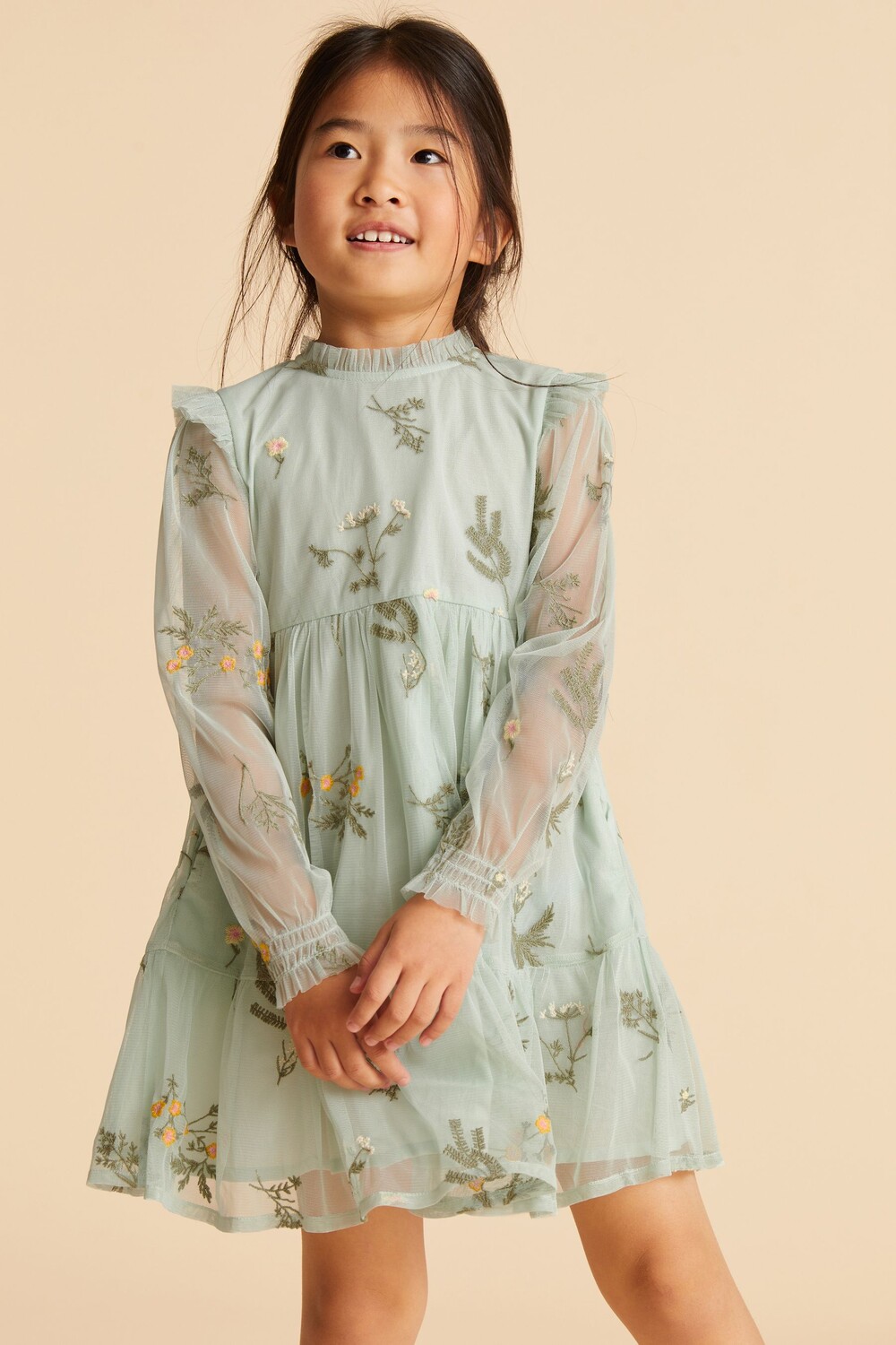 

Зеленое вечернее платье с сеткой и вышивкой Laura Ashley, зеленый, Черный