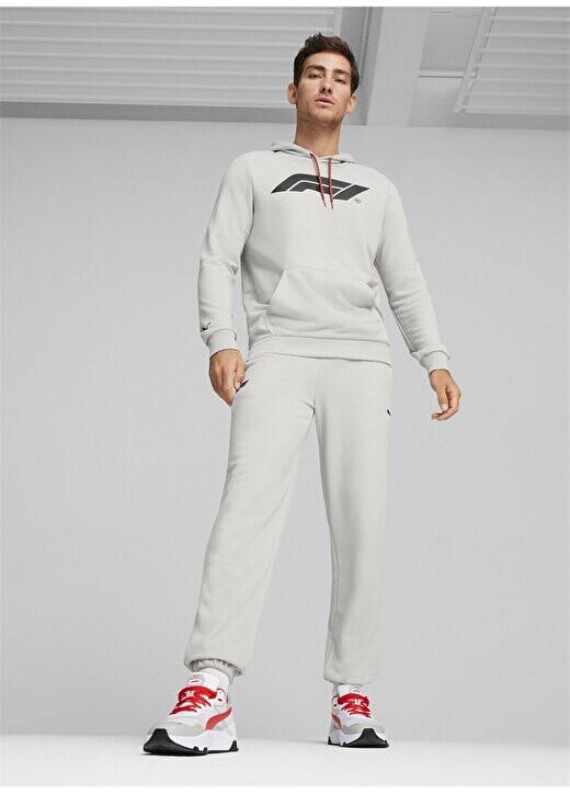 

Серые мужские спортивные штаны Skinny Leg 62572904 Спортивные штаны F1 ESS Puma, серый