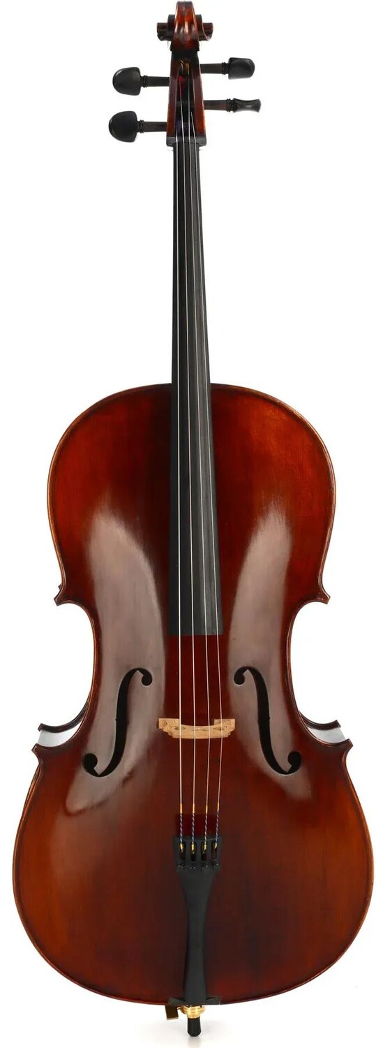 

Eastman VC305 Андреас Истман Виолончель среднего уровня — размер 3/4
