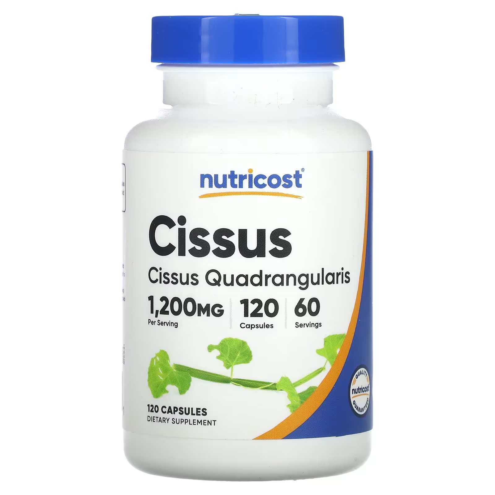 Nutricost Cissus 1200 мг 120 капсул (600 мг на капсулу) nutricost tribulus 1500 мг 120 капсул 750 мг на капсулу